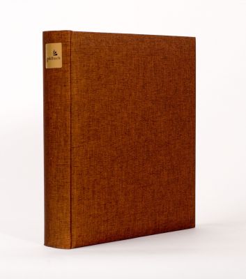 Album Goldbuch Summertime 50 kart 31x30 W miedziany