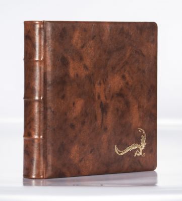 Album Exclusive BRUN CLAIR M12Z - 33x33cm/50 kart